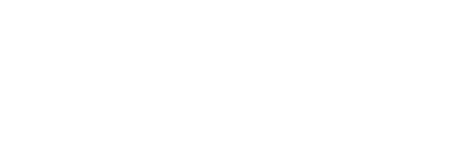 Blue Horizon Consulting Group